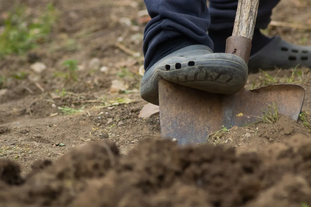Beginner's Guide to Wellington Boots for Gardening